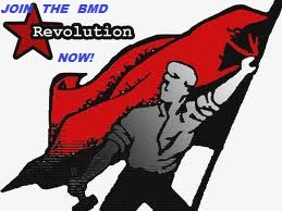 The Evolution of the Revolution